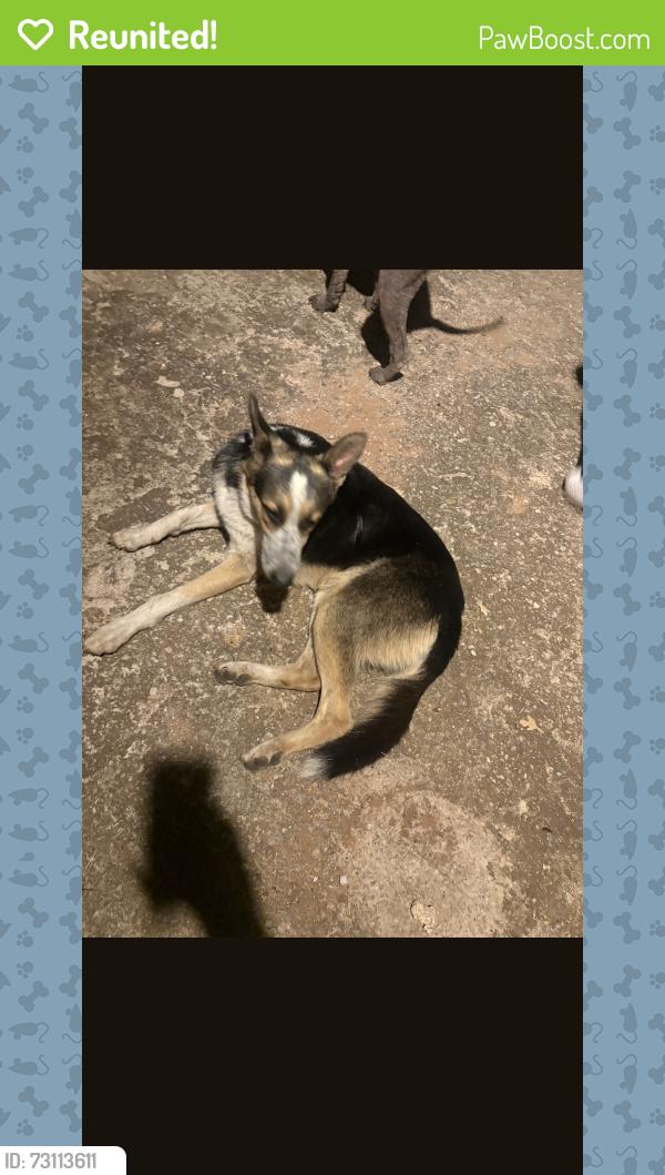 Reunited Male Dog last seen Air Depot Blvd between Britton and Wilshire Blvd, Oklahoma City, OK 73151