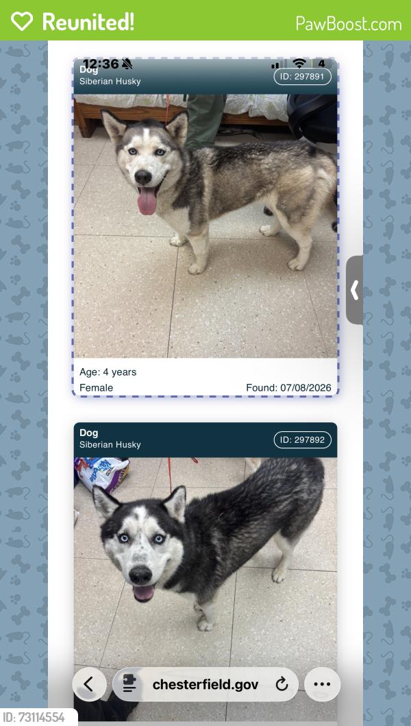 Reunited Male Dog last seen Near Turner Rd, Richmond, VA 23225, Richmond, VA 23225