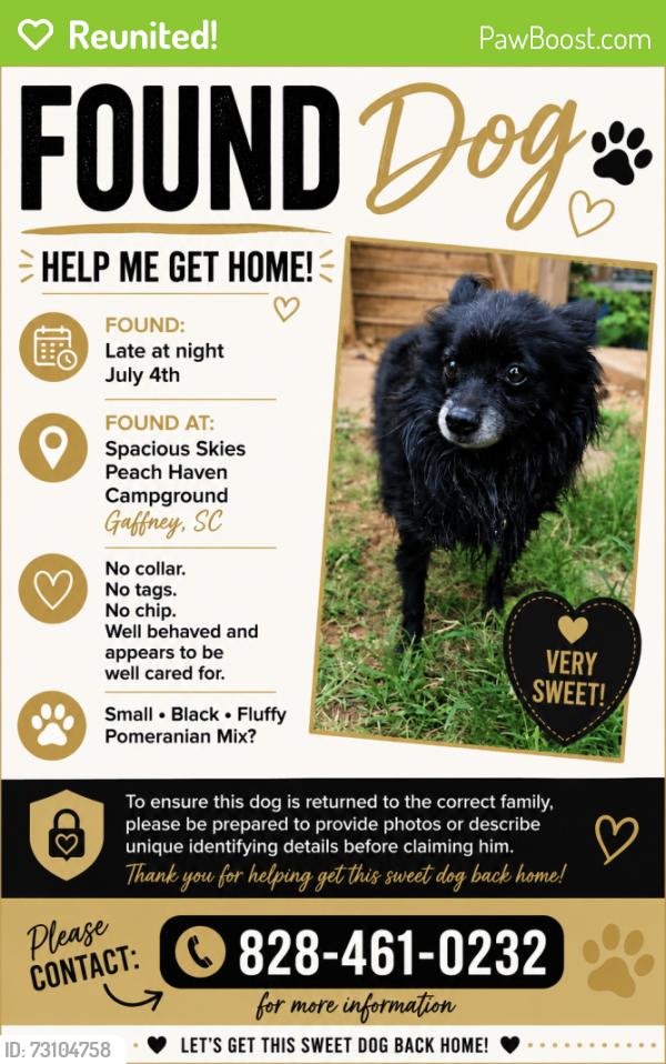 Reunited Male Dog last seen Near Surratt School Road, Gaffney, SC, Gaffney, SC 29341