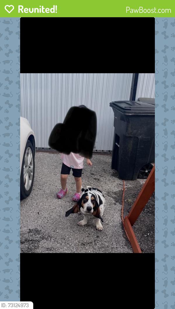Reunited Male Dog last seen Myrtle Ave, Crosby, TX 77532