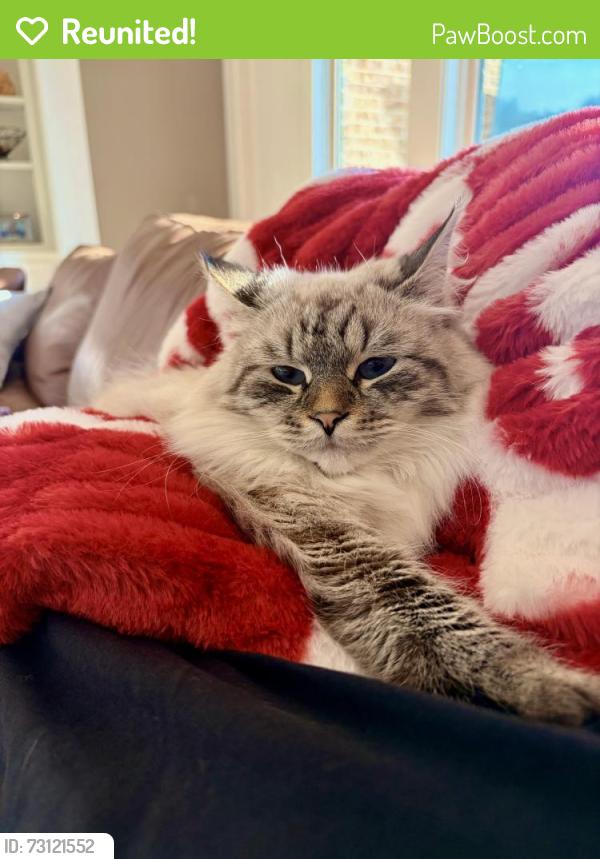 Reunited Male Cat last seen Delaware / in driveway, Bixby, OK 74008