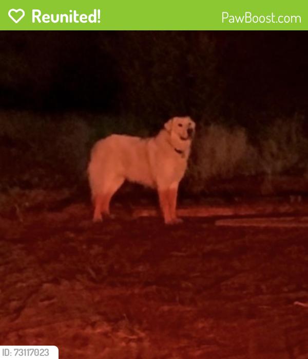 Reunited Unknown Dog last seen Near eagle canyon trail, Corona, CA 92881