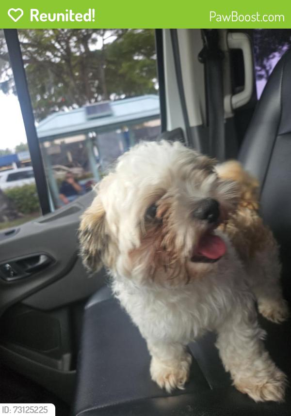 Reunited Male Dog last seen SE 3rd Ave and SE 6th St, Delray Beach, FL, Delray Beach, FL 33447