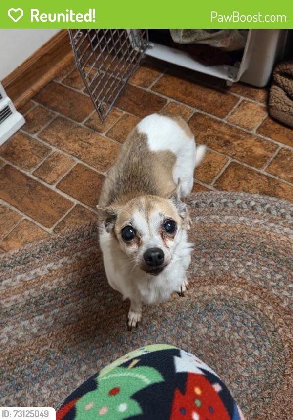 Reunited Female Dog last seen 39th Ave and 89th st, Kenosha, WI 53142