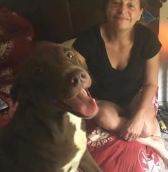 Lost Female Dog last seen Hwy 27 between salecreek and Dayton, TN maybe got into colterville or graysville TN, Sale Creek, TN 37373