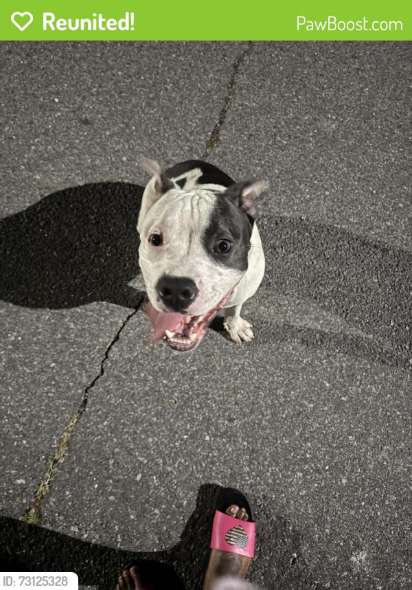 Reunited Male Dog last seen Walnut, Holly, Oak, Underwood, Great Falls, SC 29055