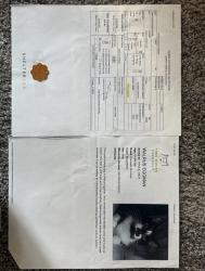 Lost Male Cat last seen Middle school , Aurora, IL 60504