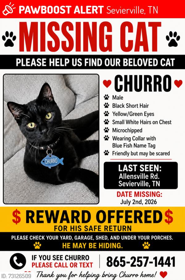 Lost Male Cat last seen Near Allensville rd, Sevierville, TN 37876