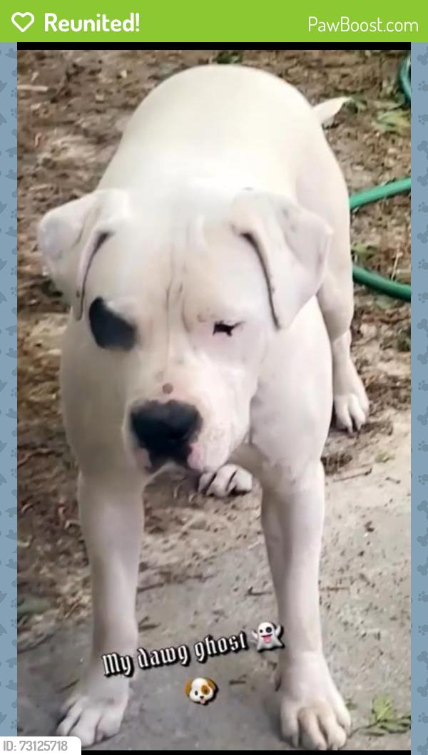Reunited Male Dog last seen Hwy 54, Peachtree City, GA 30269