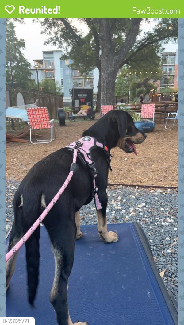 Reunited Female Dog last seen Seascape/seaworld, San Antonio, TX 78251