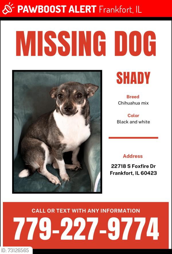 Lost Female Dog last seen Laraway RD Lagrange RD, Frankfort, IL 60423
