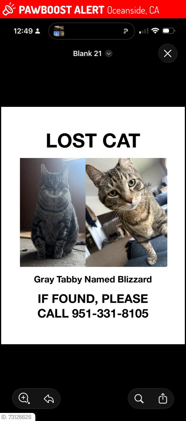 Lost Male Cat last seen Hillcrest Pl & poplar Rd, Oceanside, CA 92058