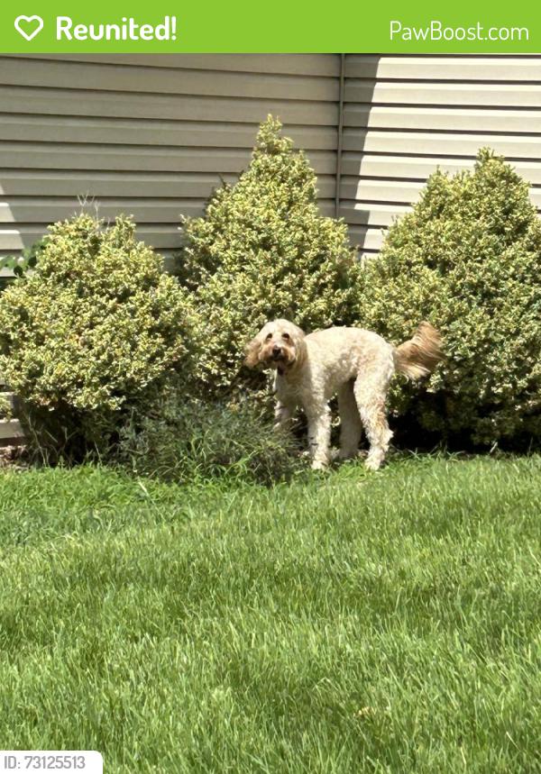 Reunited Unknown Dog last seen Lakehurst and Grinnel, St. Louis, MO 63146