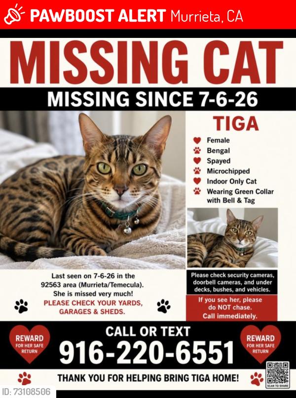 Lost Female Cat last seen La Alba, Murrieta, CA 92563