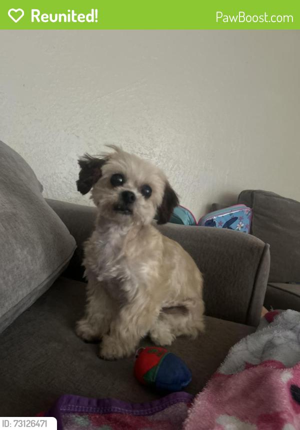 Reunited Female Dog last seen Tracy, Tracy, CA 95376