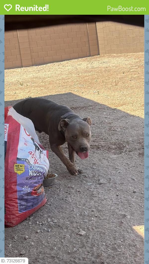 Reunited Male Dog last seen Near E Mahoney Ave, Buckeye, AZ 85326, USA, Buckeye, AZ 85326