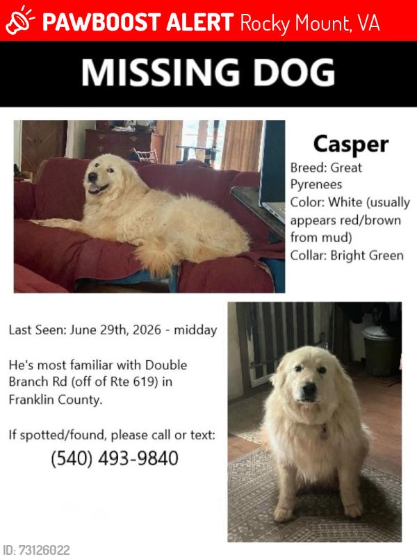 Lost Male Dog last seen Sontag Rd & Double Branch, Rocky Mount, VA 24151