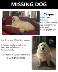 Lost Male Dog last seen Sontag Rd & Double Branch, Rocky Mount, VA 24151