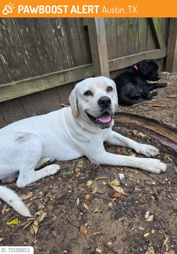 Found/Stray Male Dog last seen Menchaca, Austin, TX 78748