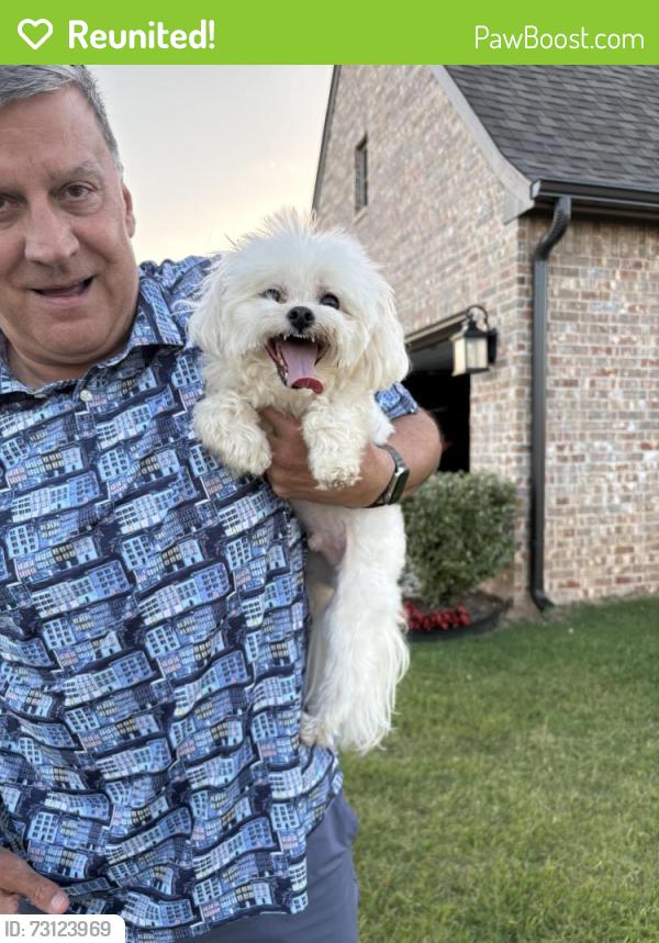 Reunited Male Dog last seen Near E 127th St S, Bixby, OK 74008