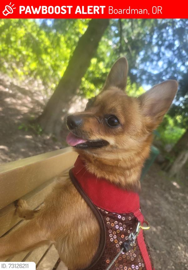Lost Female Dog last seen Mount Adams Avenue Southwest, Boardman, OR 97818