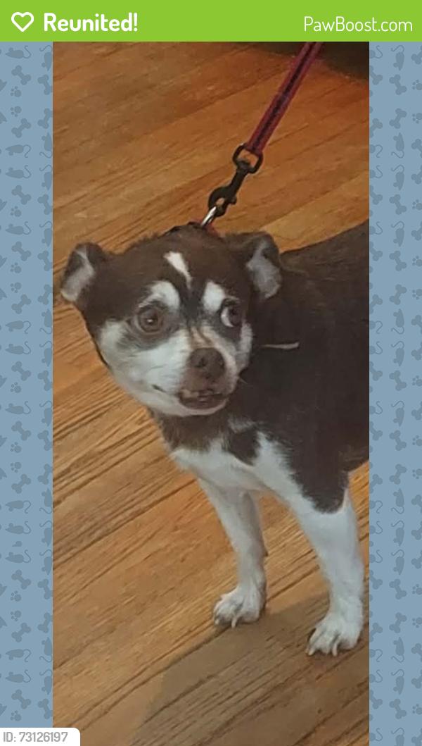 Reunited Male Dog last seen Near Jackson St & W Stone Drive, Kingsport, TN 37660
