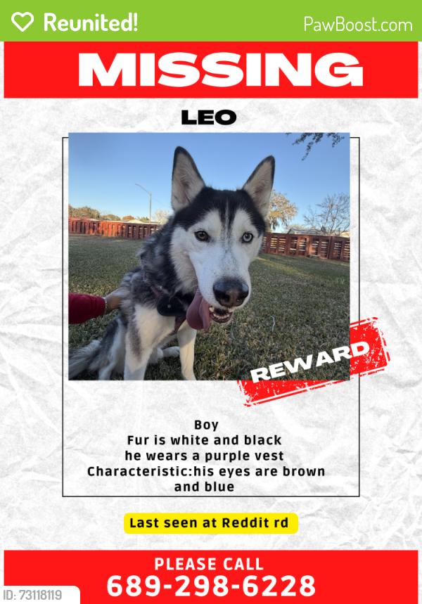 Reunited Male Dog last seen By Reddit rd, Orlando, FL 32822