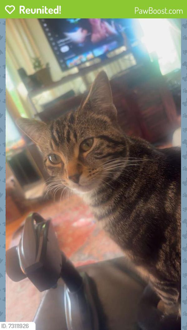 Reunited Male Cat last seen Murdock, hazel, Oshkosh, WI 54901
