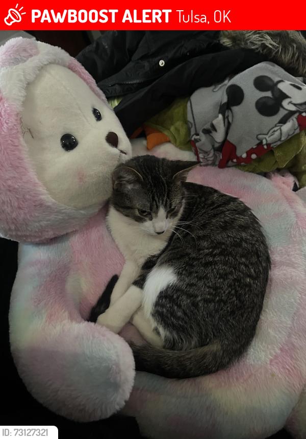 Lost Male Cat last seen 55th & Charles Page, Tulsa, OK 74127