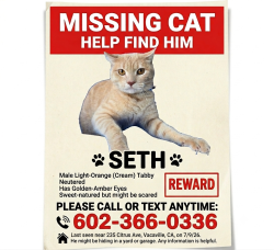 Lost Male Cat last seen Near Citrus Ave, Vacaville, CA 95688