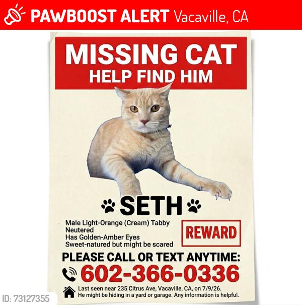 Lost Male Cat last seen Near Citrus Ave, Vacaville, CA 95688