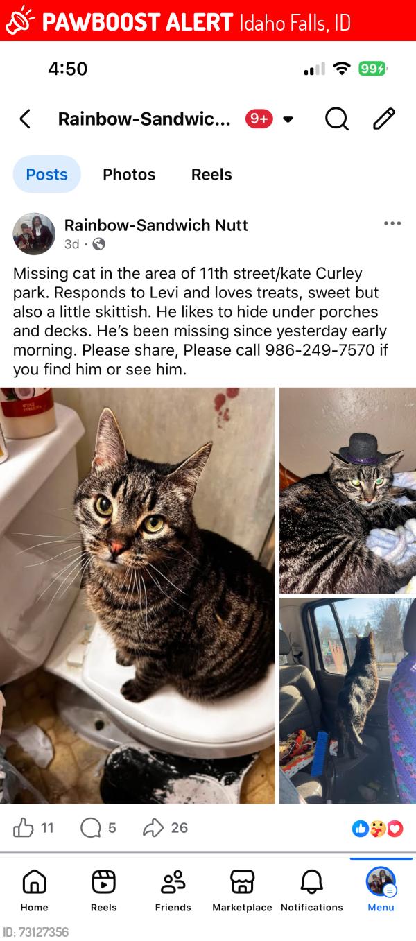 Lost Male Cat last seen South emerson, Idaho Falls, ID 83404