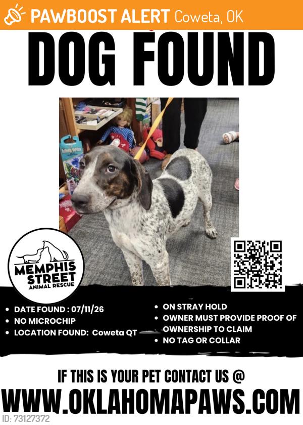 Found/Stray Unknown Dog last seen 141st / hwy 51, Coweta, OK 74429