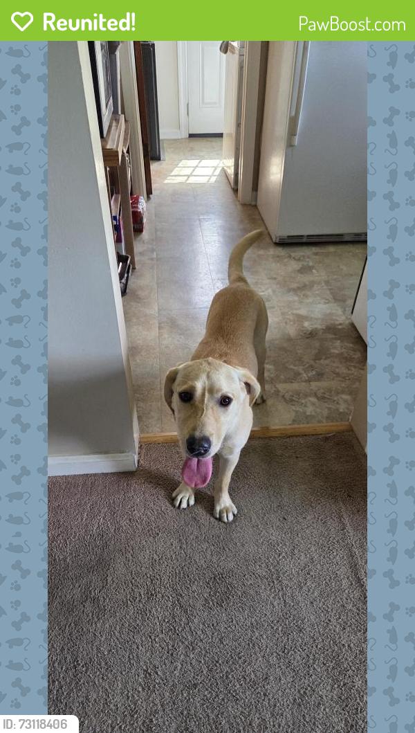 Reunited Female Dog last seen Norview Hugo & Defoe ave, Norfolk, VA 23513