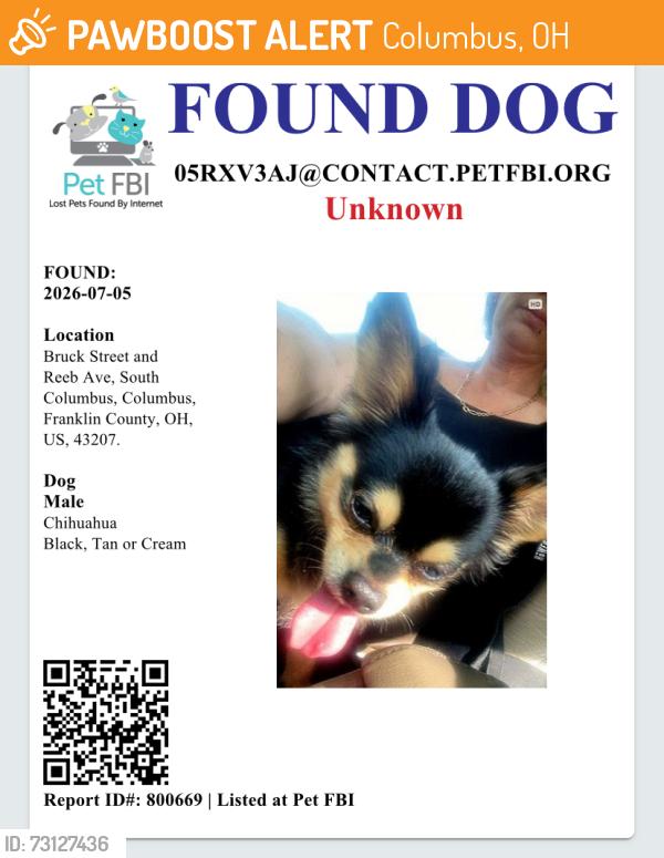 Found/Stray Male Dog last seen Bruck Street/ Reeb ave, Columbus, OH 43207