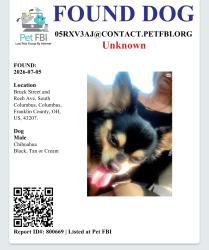 Found/Stray Male Dog last seen Bruck Street/ Reeb ave, Columbus, OH 43207