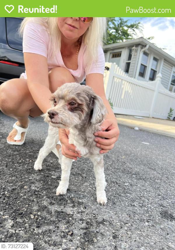 Reunited Female Dog last seen Miller Field, Staten Island, NY 10306