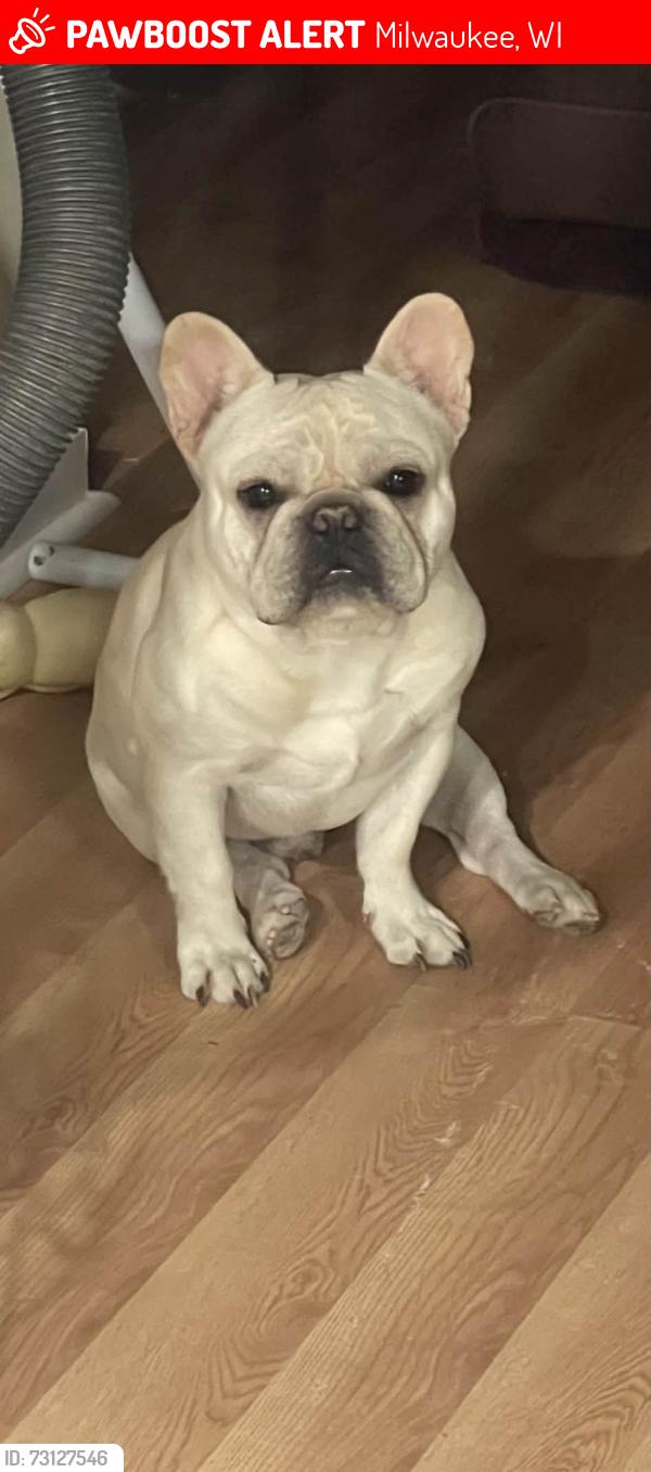 Lost Male Dog last seen Cortland, Milwaukee, WI 53216
