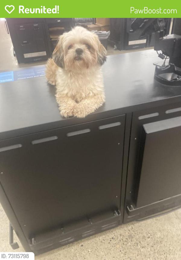 Reunited Female Dog last seen 5th St E and Atlantic, Saint Paul, MN 55106