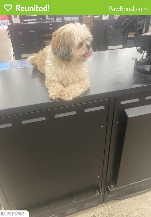 Reunited Female Dog last seen Atlantic and 5th :, Saint Paul, MN 55106