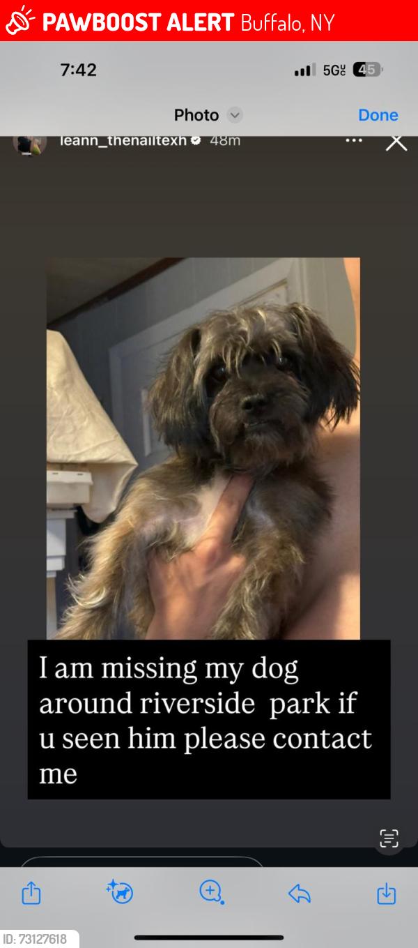 Lost Male Dog last seen Riverside, Buffalo, NY 14207