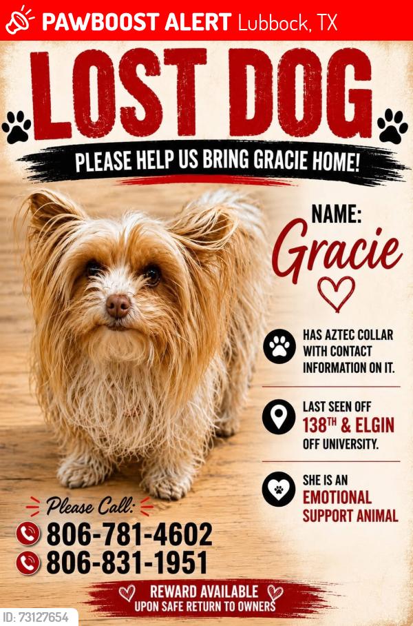 Lost Female Dog last seen Veridian ests and bell farms, Lubbock, TX 79423