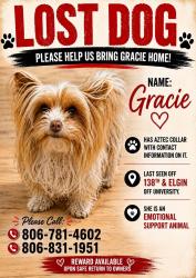 Lost Female Dog last seen Veridian ests and bell farms, Lubbock, TX 79423