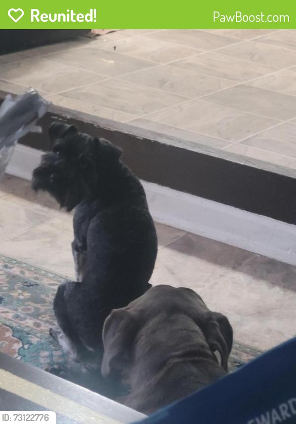 Reunited Male Dog last seen Connell Rd & Doe Run Dr, Fairburn, GA 30213