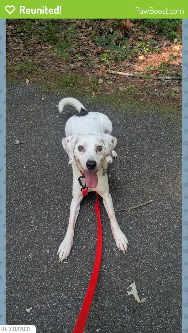Reunited Male Dog last seen Near Landstown Centre Wy, Virginia Beach, VA 23456, USA, Virginia Beach, VA 23456