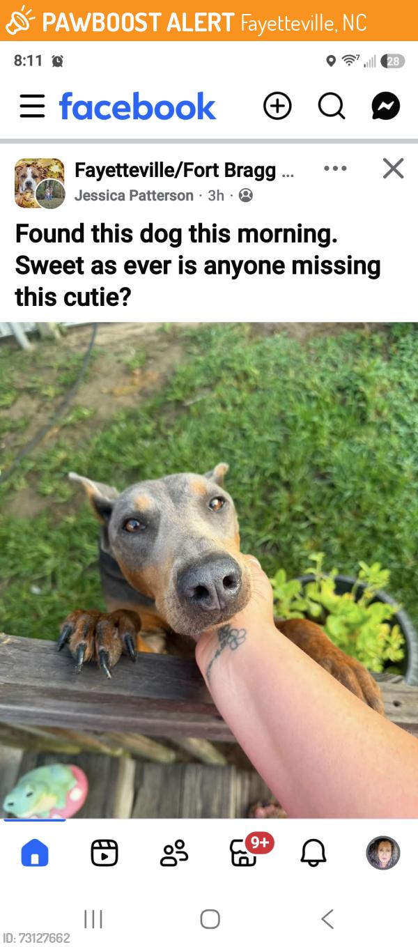 Found/Stray Unknown Dog last seen Posted on Fayetteville/Fort bragg NC Pets on Facebook, Fayetteville, NC 28305