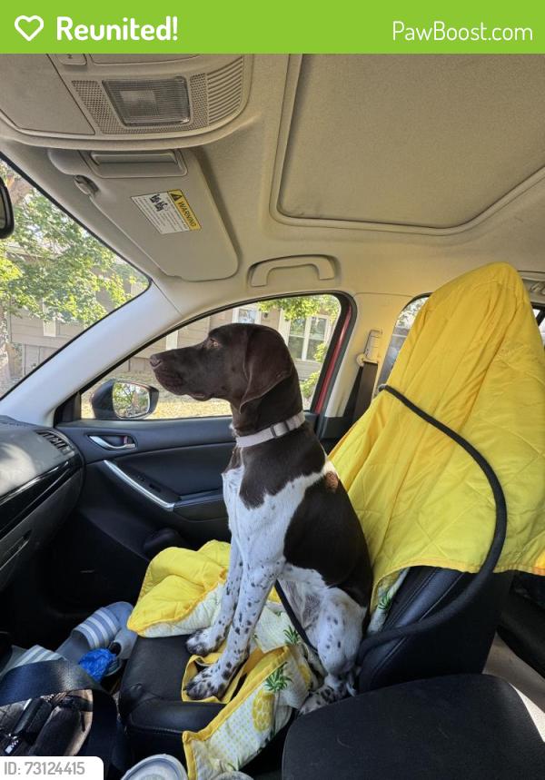 Reunited Female Dog last seen Westminster dog park/open space, Westminster, CO 80030