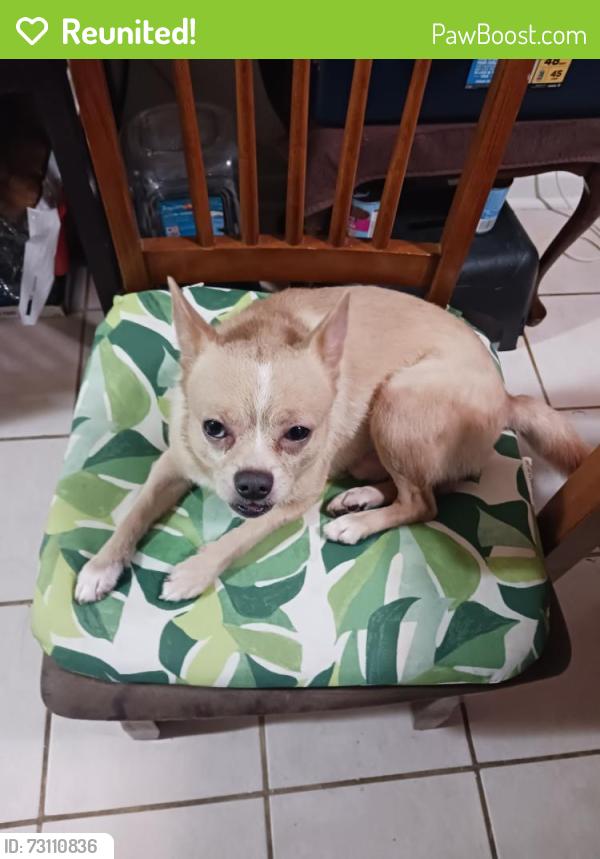 Reunited Male Dog last seen General Kruger Blv, San Antonio, TX 78213