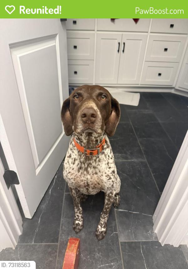 Reunited Male Dog last seen Dauphin Island Parkway, Mobile County, AL 36523