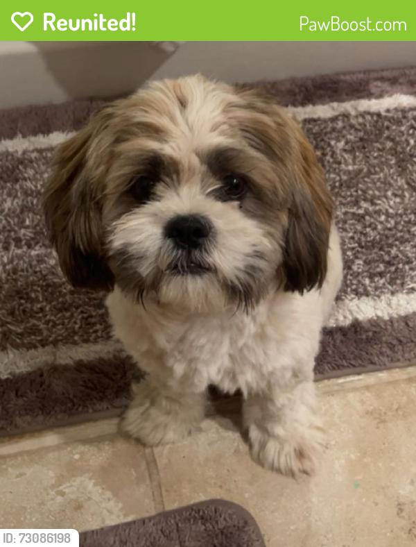 Reunited Male Dog last seen Near Angelus St, Turlock, CA 95380, USA, Turlock, CA 95380